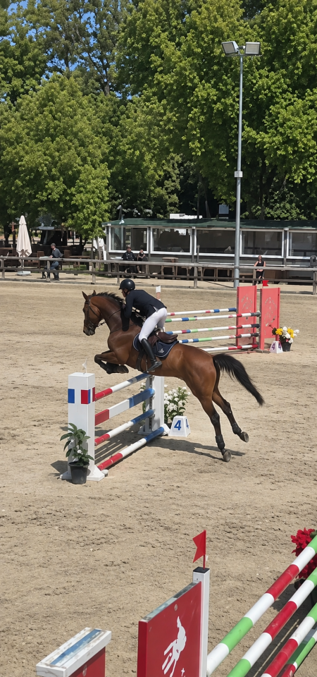 Cheval CSO 130