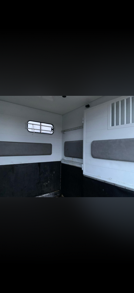 Renault Master VL 2 chevaux &ndash; 2019 &ndash;Rucel- 165 ch Bi-Tu