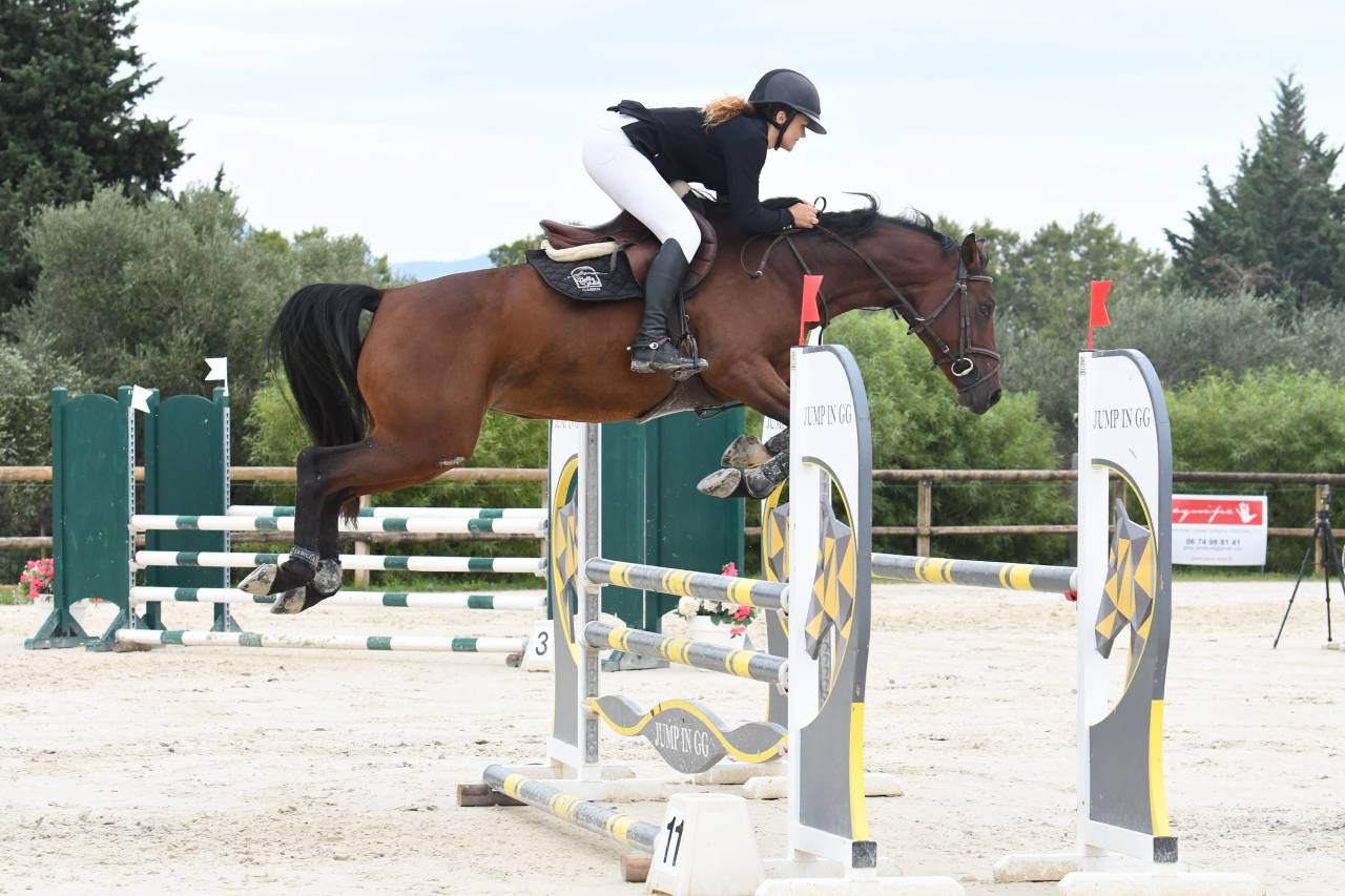 Superbe jument de sport