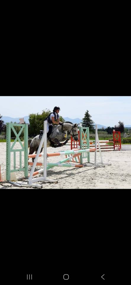 Ponette pfs 13 ans poulini&egrave;re 
