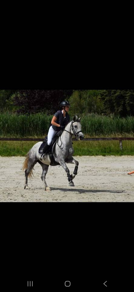 Ponette pfs 13 ans poulini&egrave;re 