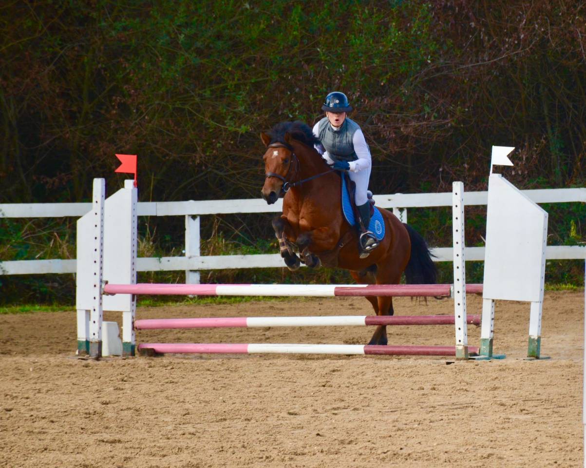 Poney 5 ans 1m46