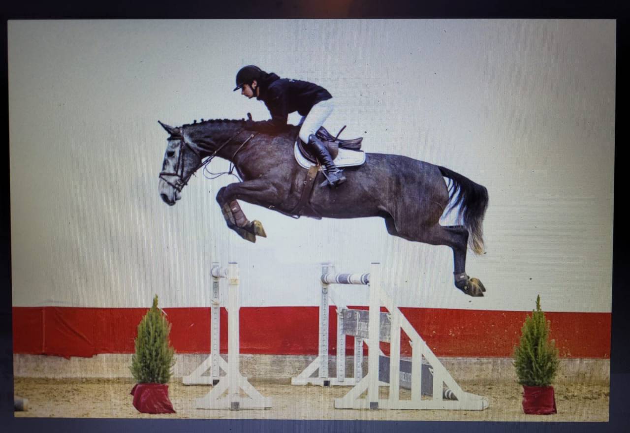 5 ans Hongre par Aganix du seigneur  
