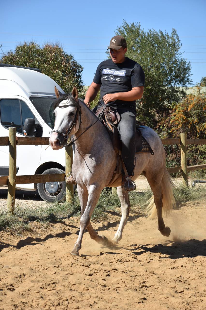 CARETO 4 ans