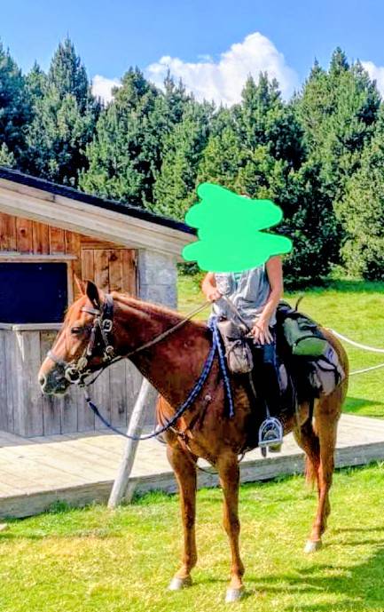 Super cheval de randonn&eacute;e et loisirs 