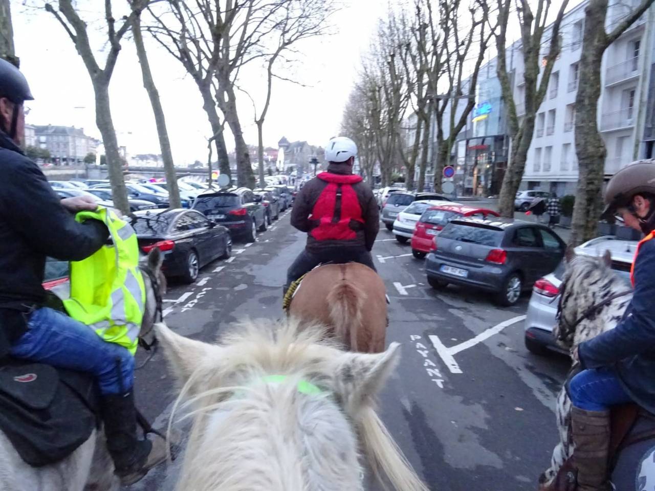 Jument de randonn&eacute;e exp&eacute;riment&eacute;e