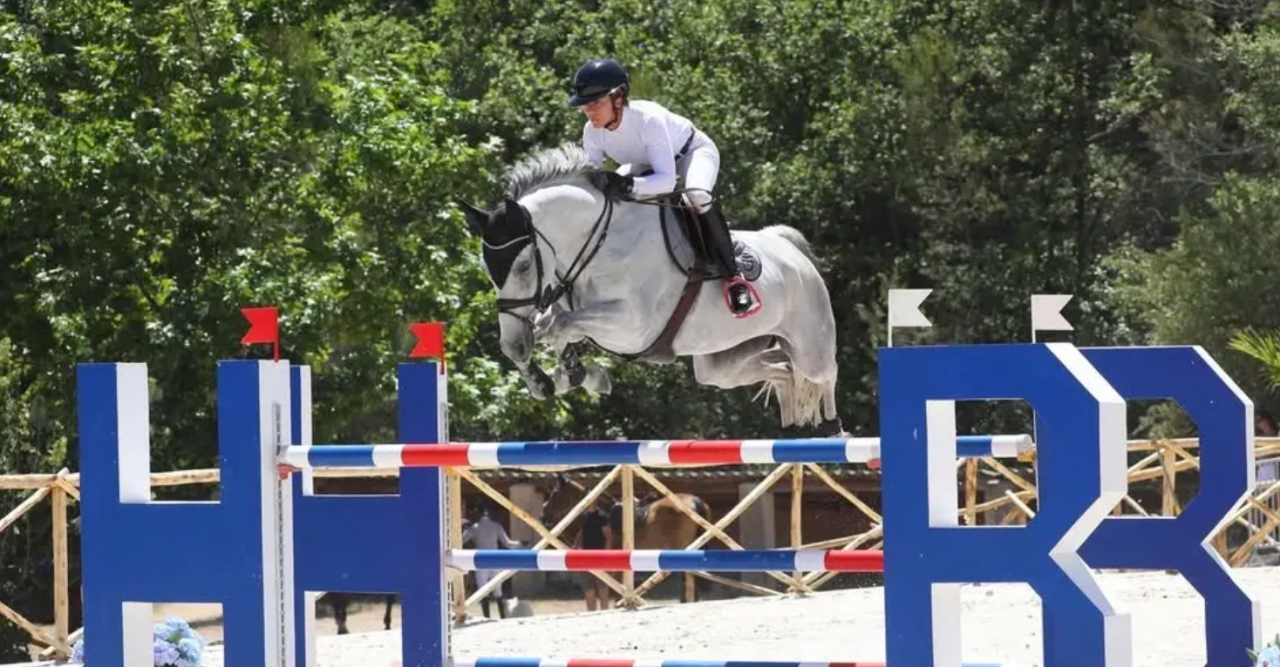 IMAGINE GLANVILLE TOP Jument de qualit&eacute; 8 ans