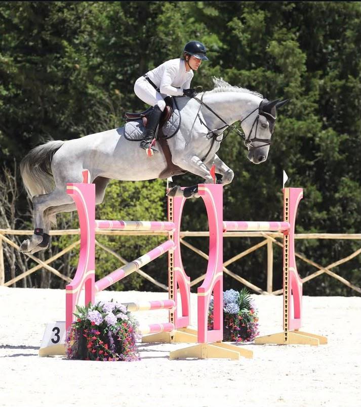 IMAGINE GLANVILLE TOP Jument de qualit&eacute; 8 ans