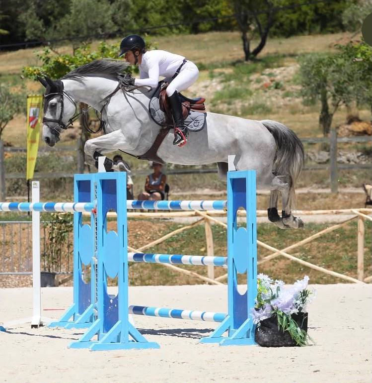 IMAGINE GLANVILLE TOP Jument de qualit&eacute; 8 ans