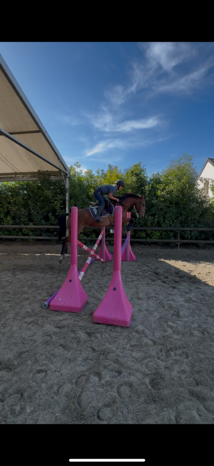 Poney D 4ans 