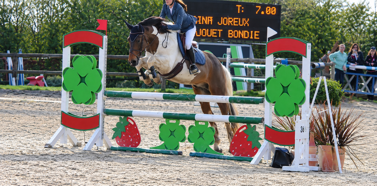Poney de famille/ sport 