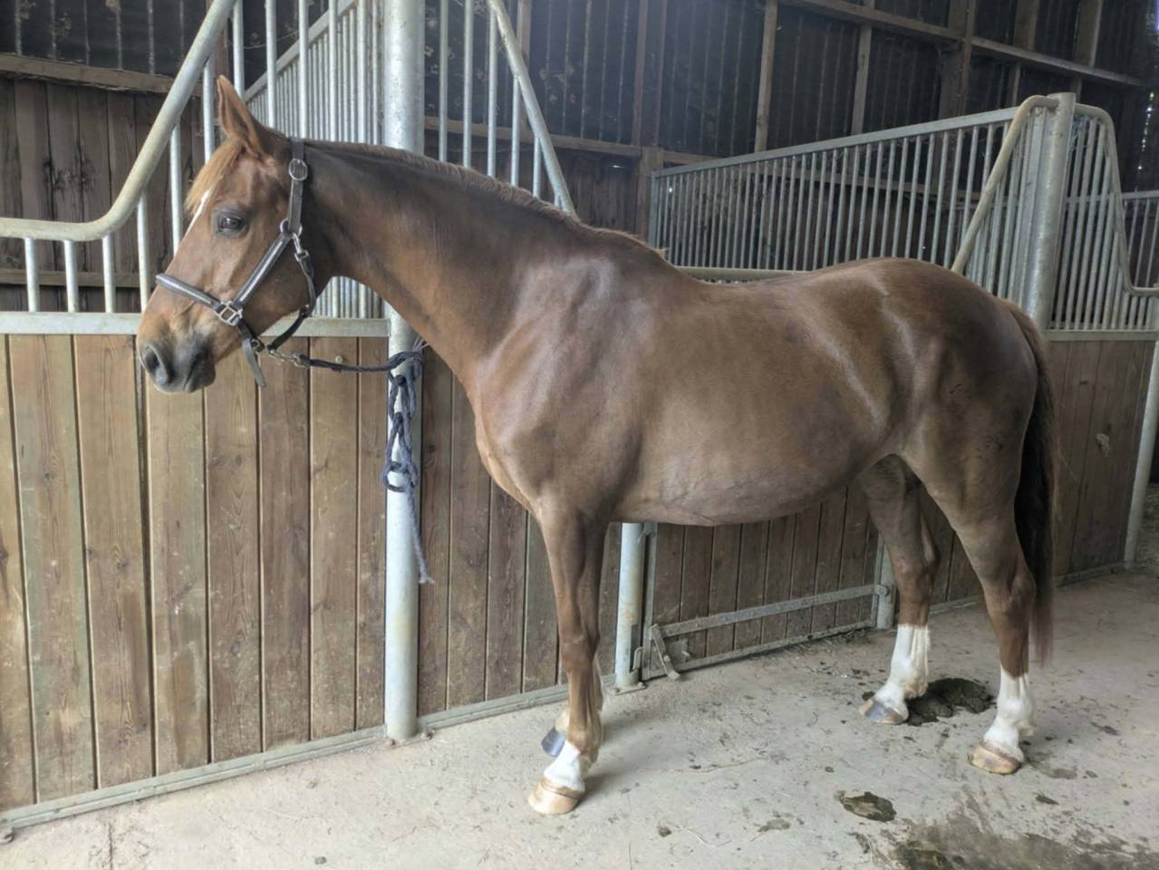PFS 8 ans &agrave; vendre