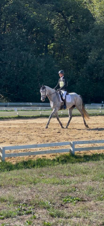 Cheval de 7 ans id&eacute;al amateur cce/cso
