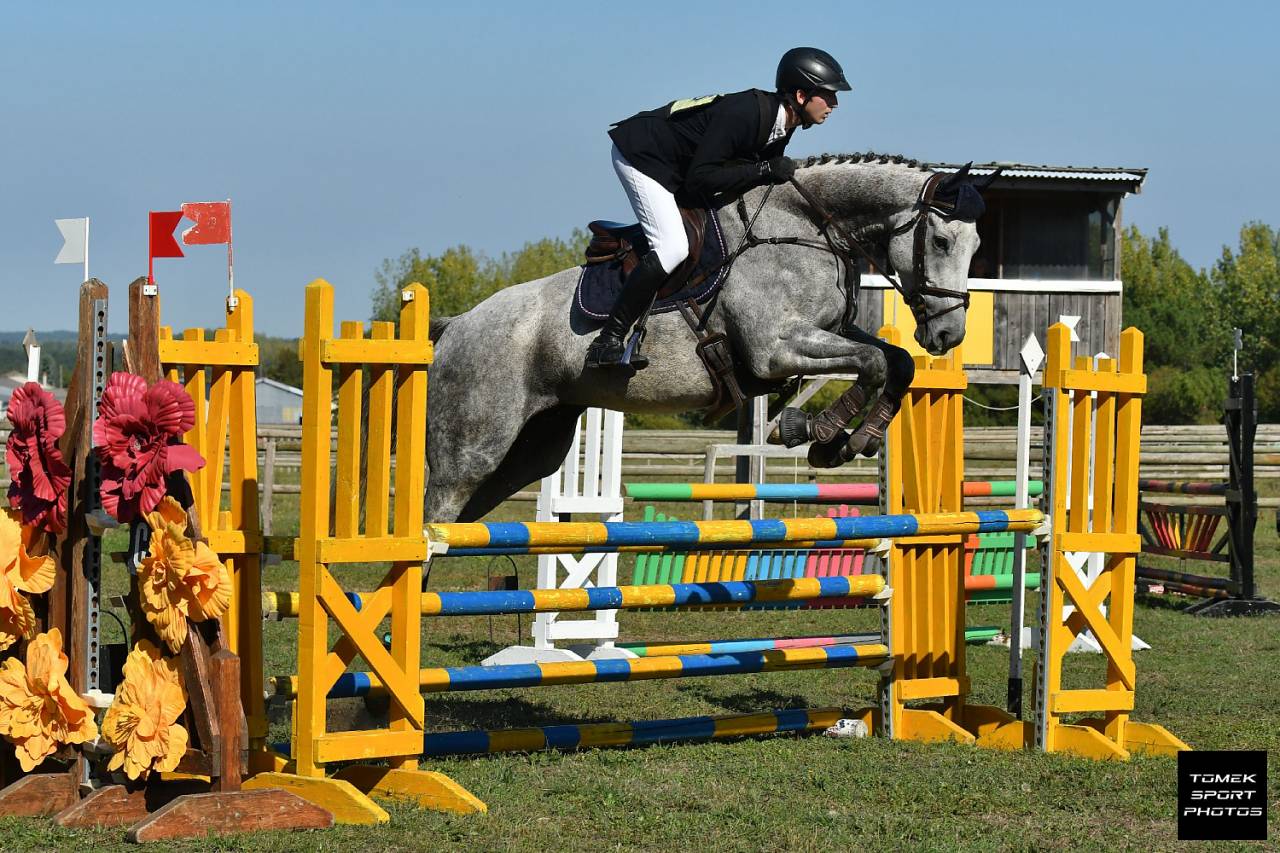 Cheval de 7 ans id&eacute;al amateur cce/cso