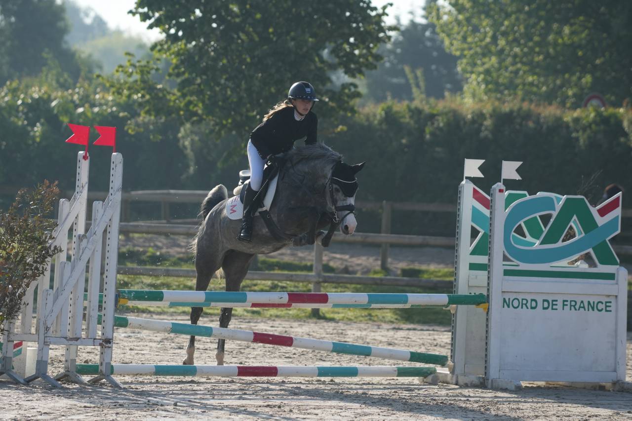 Ponette en OR 