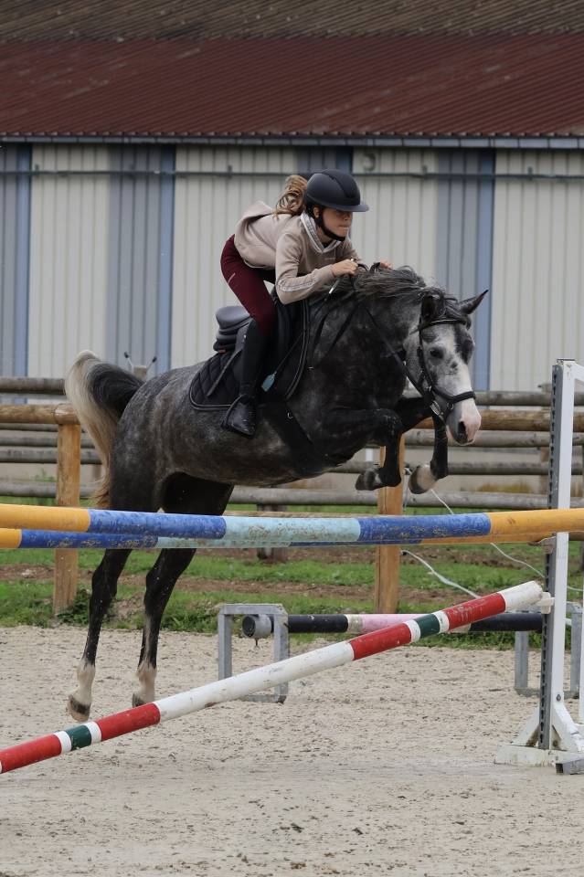 Ponette en OR 