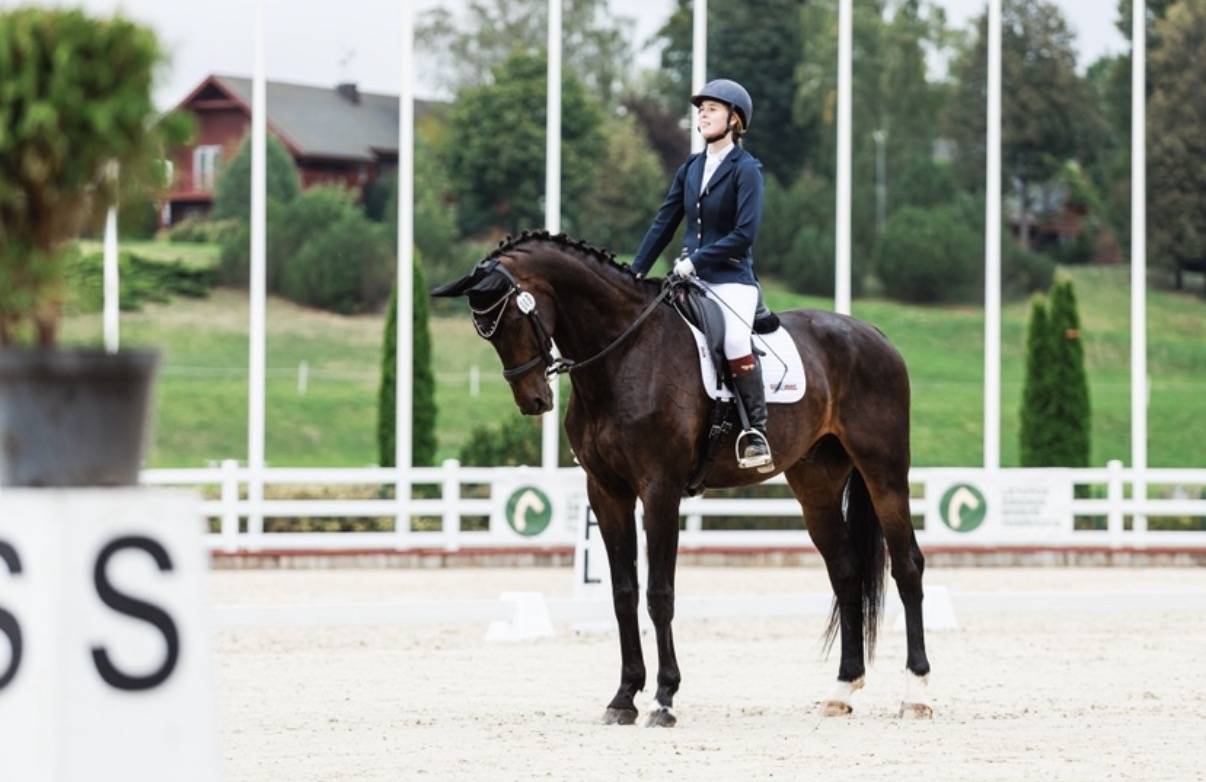 Stunning Dressage Horse with Exceptional Movements