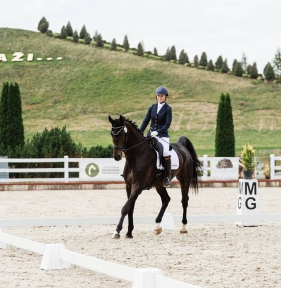 Stunning Dressage Horse with Exceptional Movements