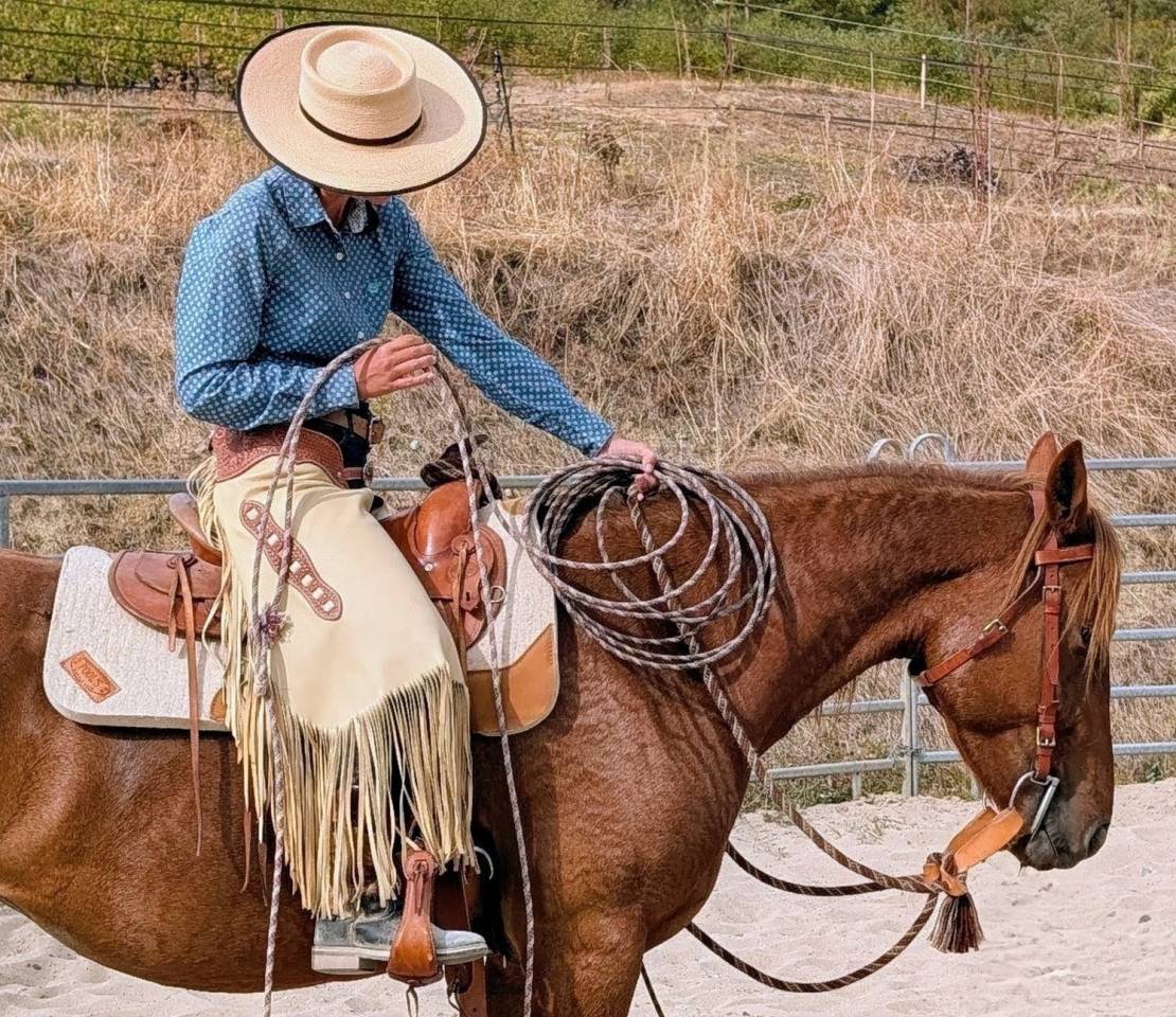 Jument OC 4 ans id&eacute;ale loisirs western TREC etc