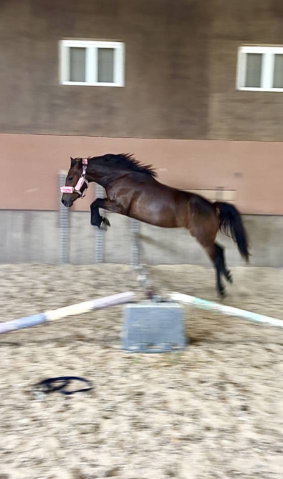 Ponette 4 ans onc 140 cm