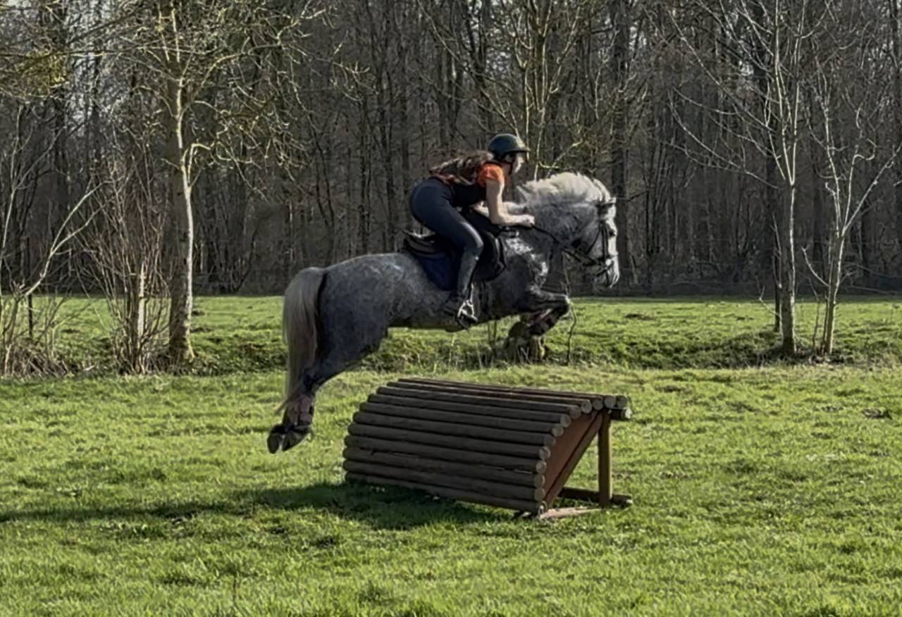 Loc poney