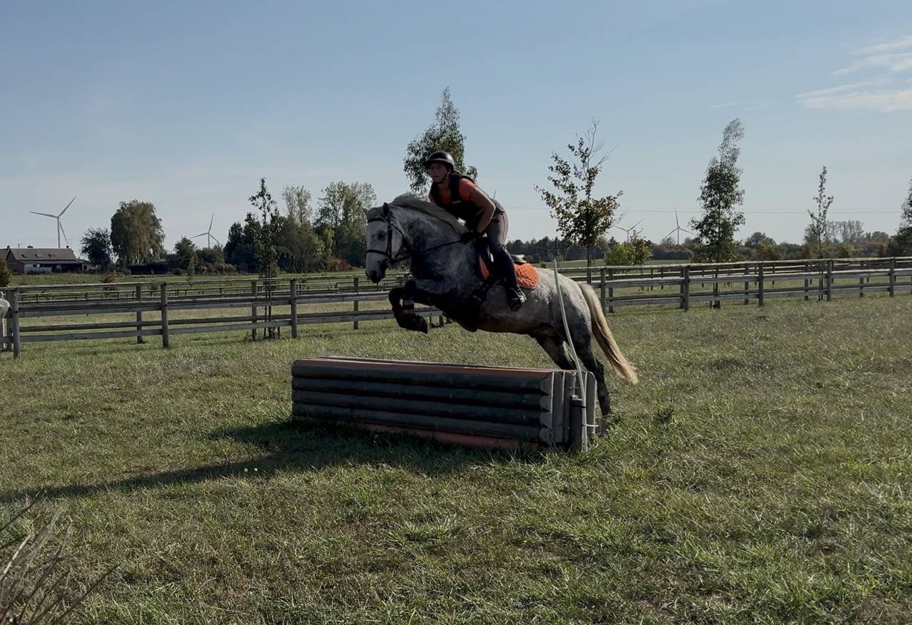 Loc poney