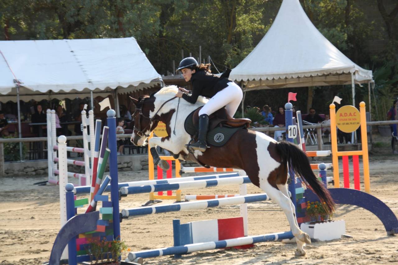 Poney de sport 6 ans 