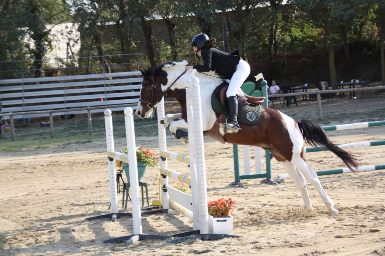 Poney de sport 6 ans 