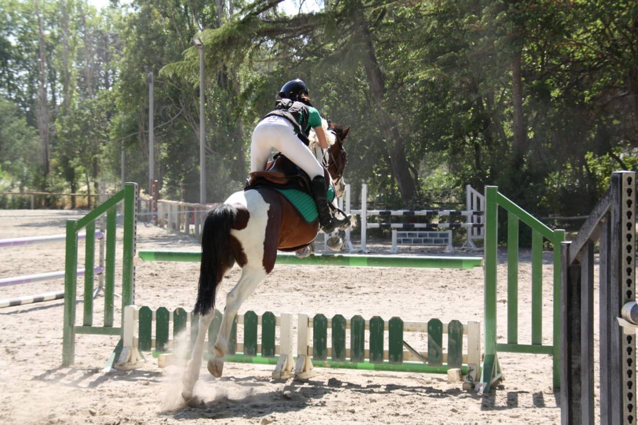 Poney de sport 6 ans 