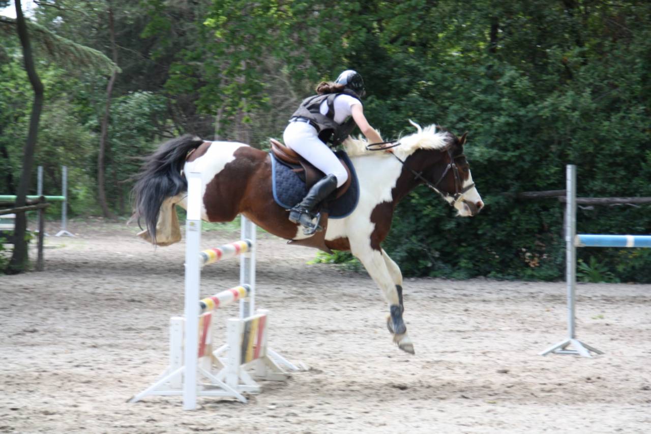 Poney de sport 6 ans 