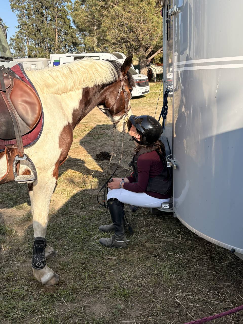 Poney de sport 6 ans 