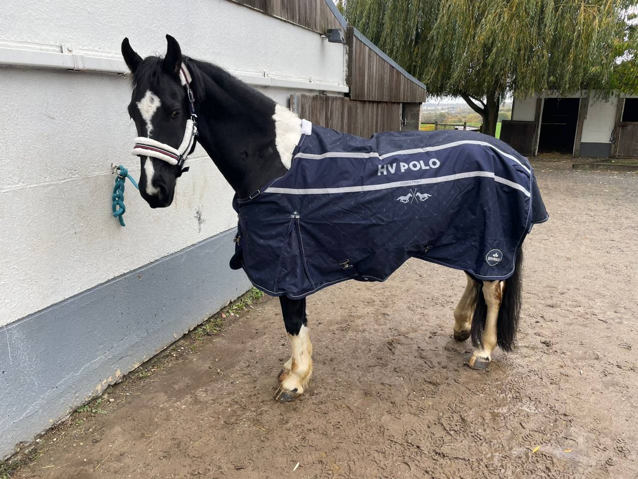 Barok Pinto 8 ans 