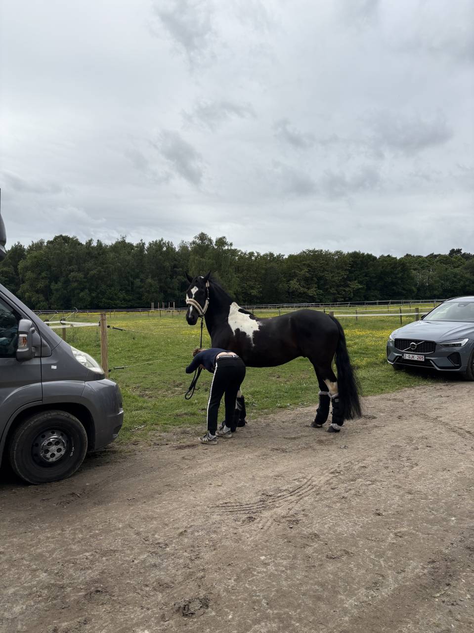 Barok Pinto 8 ans 
