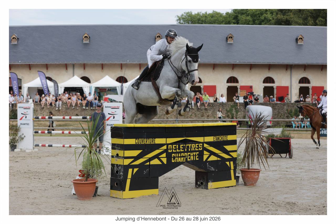 Hongre SF top mental - pr&ecirc;t direct sur 135 
