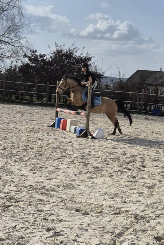 Super Poney