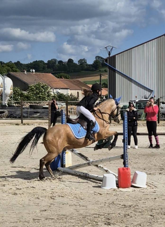 Super Poney
