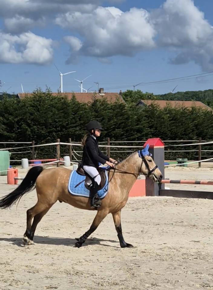 Super Poney