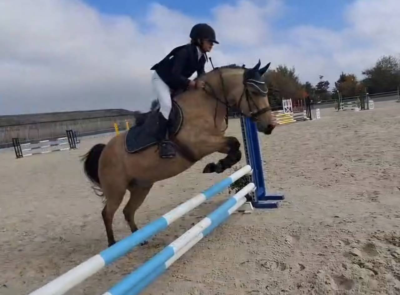 Super Poney