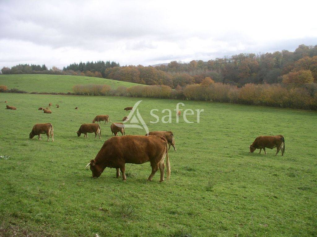 Propri&eacute;t&eacute; d'&eacute;levage Bio d'environ 113 ha