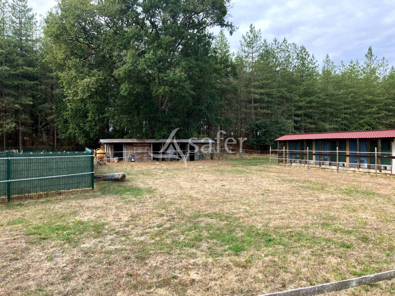 Pension canine et f&eacute;line en Sologne
