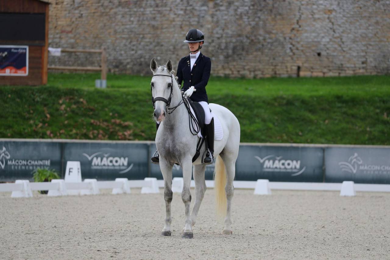 Hongre - PRE Lusitanien - 12 ans - Dressage Saint-Georges - France