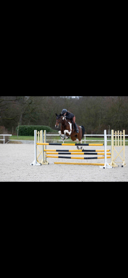 Jument de CSO &ndash; 10 ans