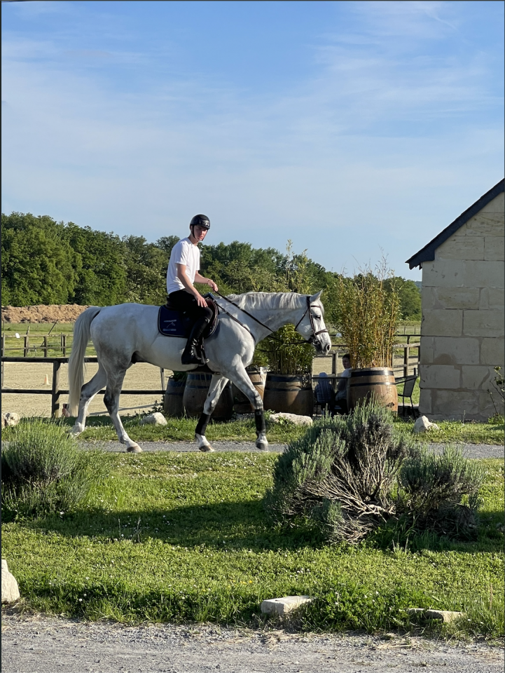 Cheval &agrave; vendre &ndash; Selle Fran&ccedil;ais &ndash; 11 ans &ndash; CSO 130 cm