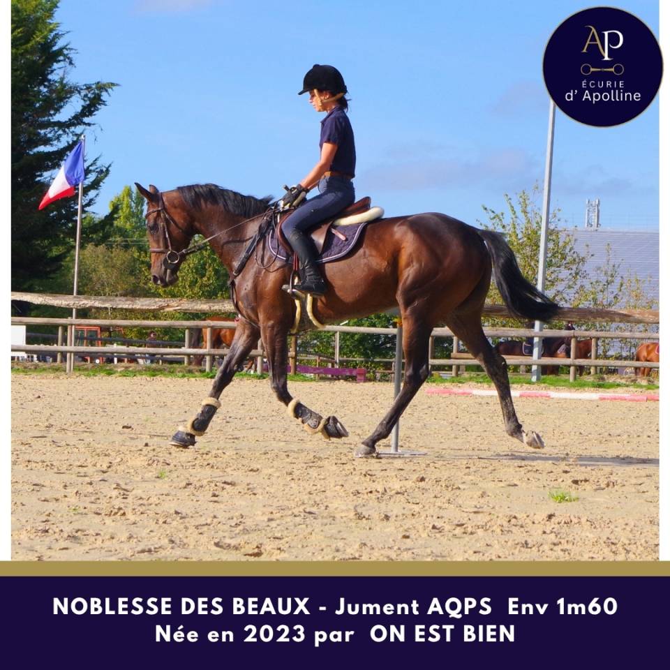 superbe jeune AQPS