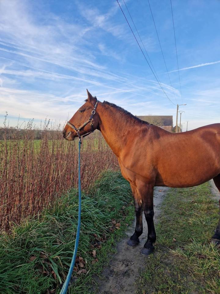 PRE 14 ans - R&eacute;gion Hainaut (Charleroi)
