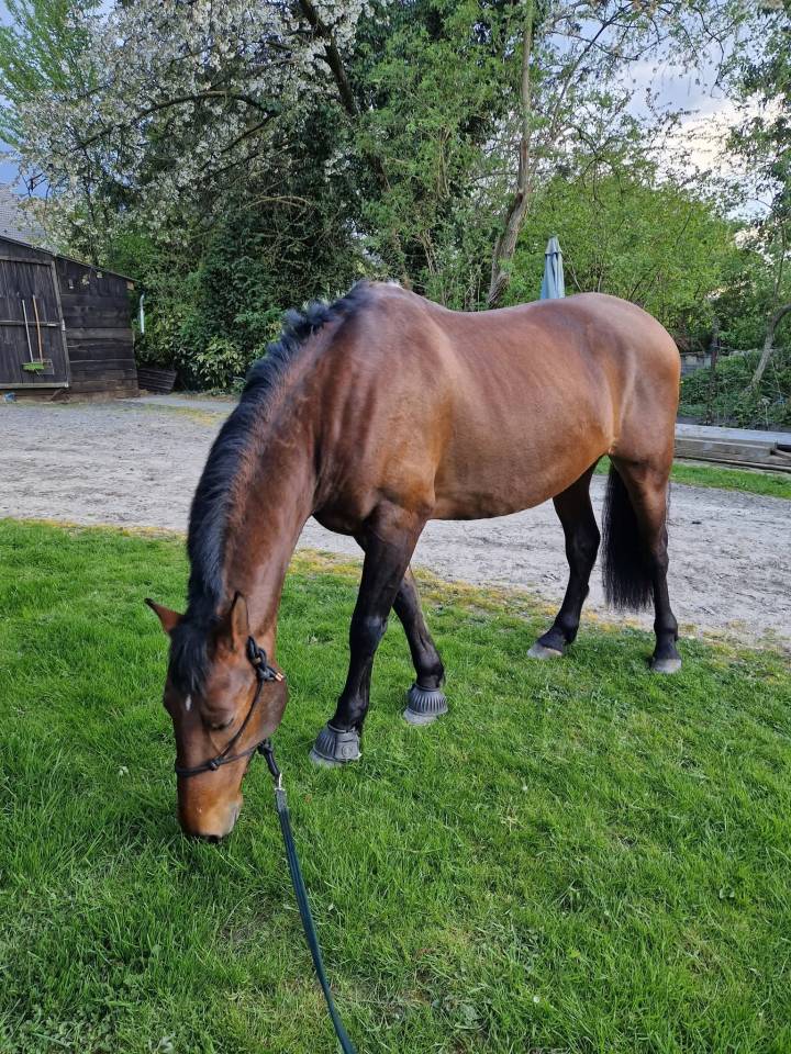 PRE 14 ans - R&eacute;gion Hainaut (Charleroi)