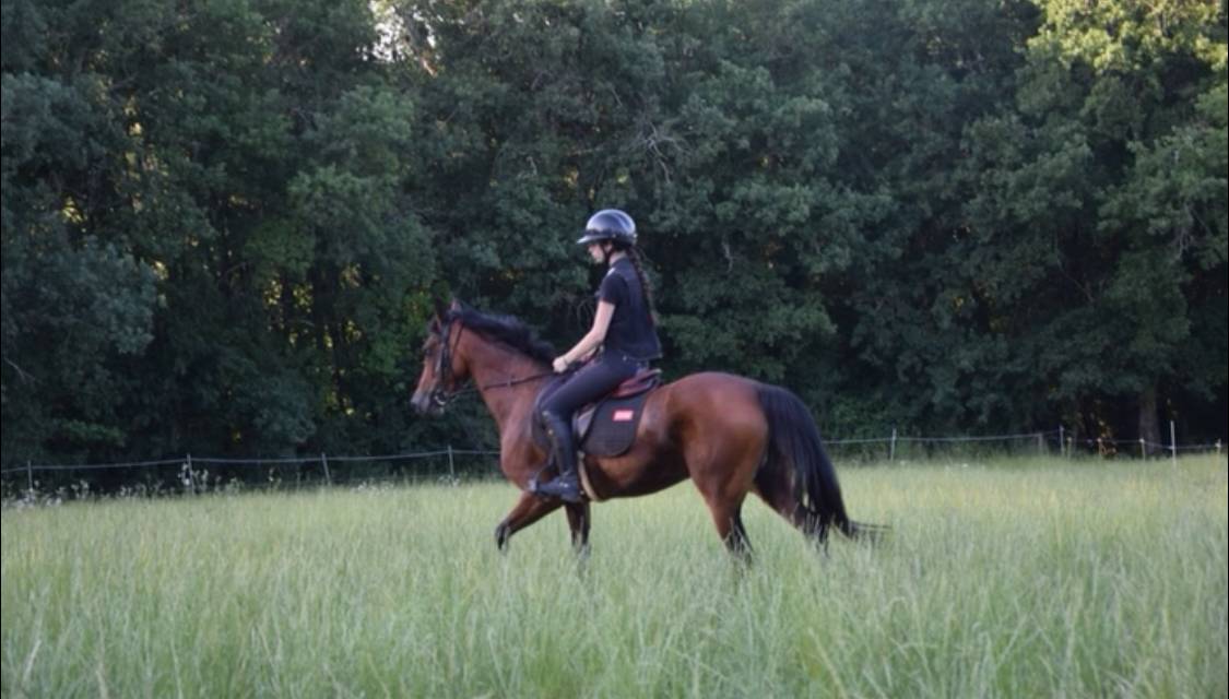 ponette