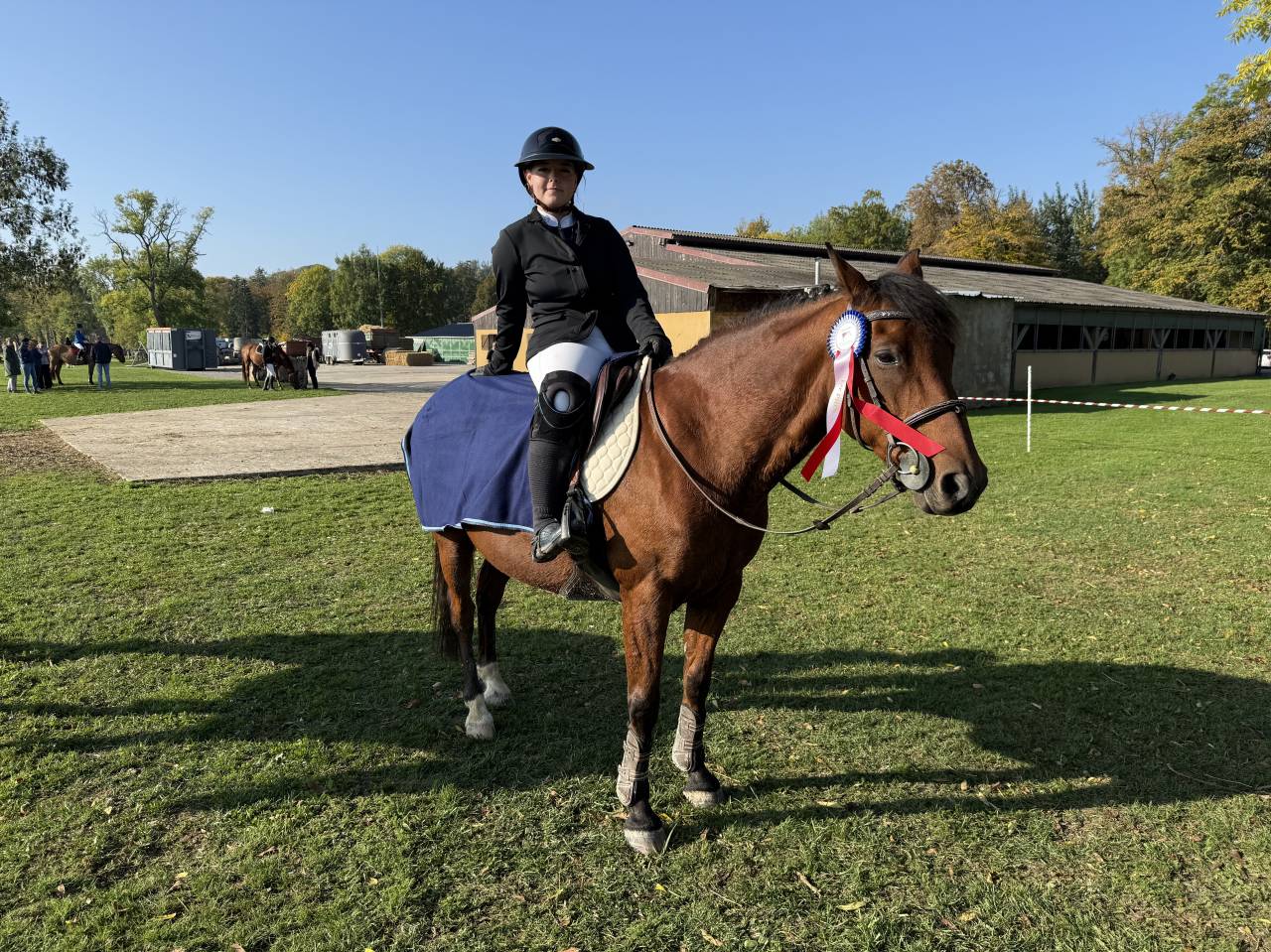 Poney &agrave; louer