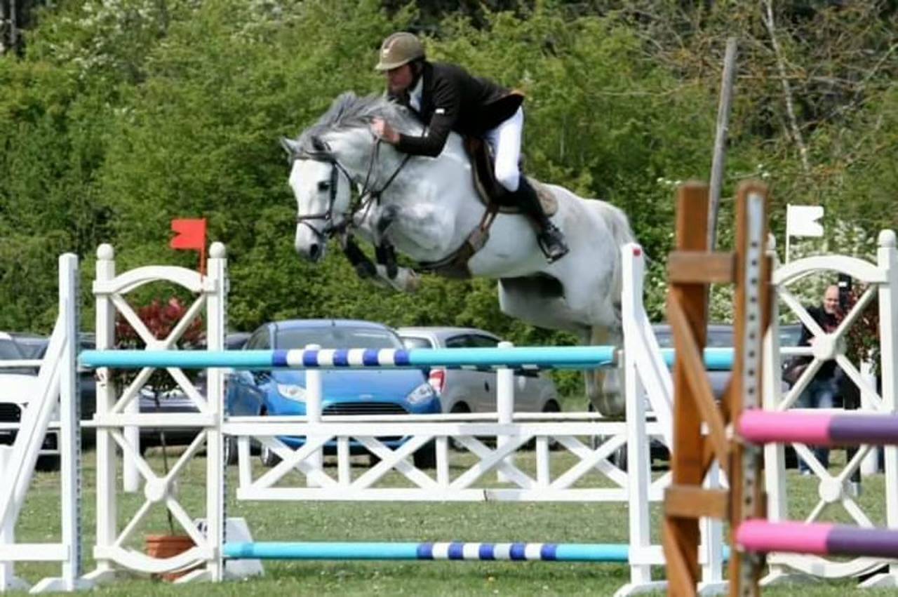 Foal Z 