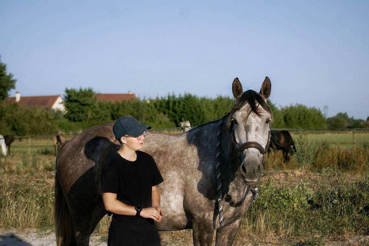 DP poney D